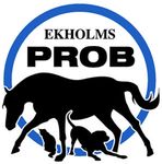 Ekholms Prob
